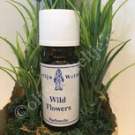 Wild Flower Parfumolie 10ml Wild Flower Parfumolie 10ml