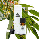 Eucalyptus Citroen etherische olie wild Eucalyptus Citroen etherische olie wild
