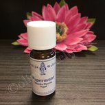 Pepermunt 100% natuurzuivere olie merlijn Pepermunt 100% natuurzuivere olie merlijn